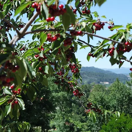 Quinta Do Alto Celorico De Basto