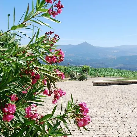 Alojamento de Turismo Rural Quinta Do Alto Celorico De Basto