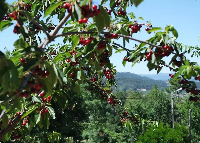 Quinta Do Alto Celorico De Basto