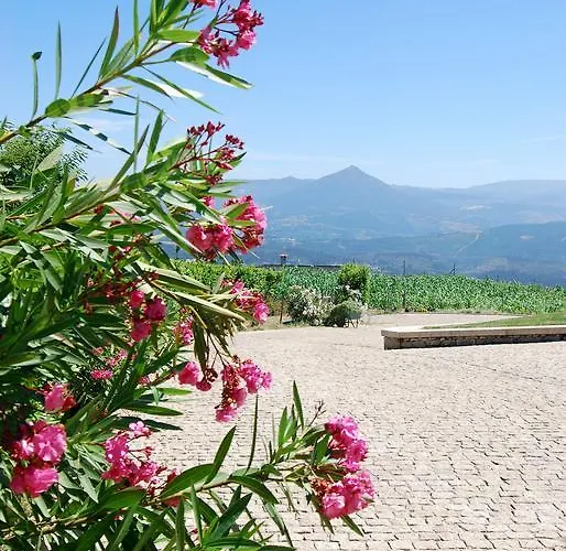 Gospodarstwo agroturystyczne Quinta Do Alto Celorico De Basto