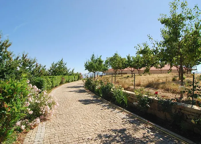 Gospodarstwo agroturystyczne Quinta Do Alto