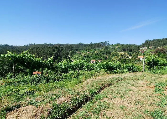 Quinta Do Alto Agroturismo Celorico De Basto