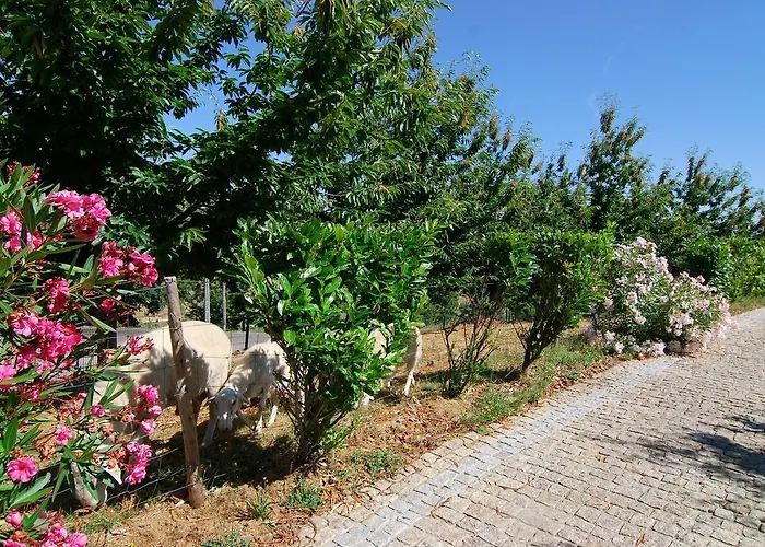 בית חווה Quinta Do Alto סלוריקו דה באשטו