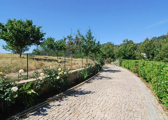 Quinta Do Alto Gospodarstwo agroturystyczne Celorico De Basto